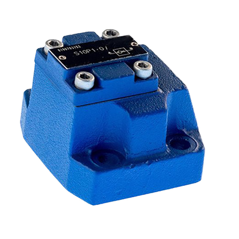 S-type check valve